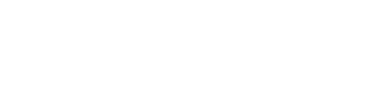 Boule Diagnostics 